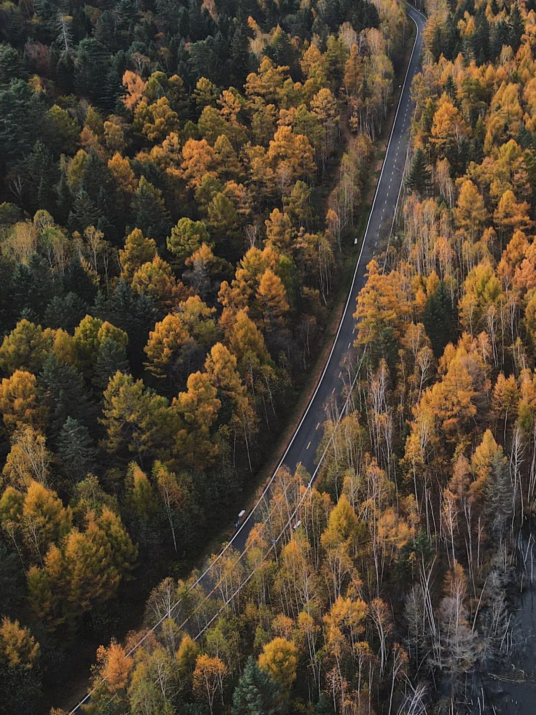 大兴安岭有机富硒大米（吉林富硒大米价格）-硒宝网