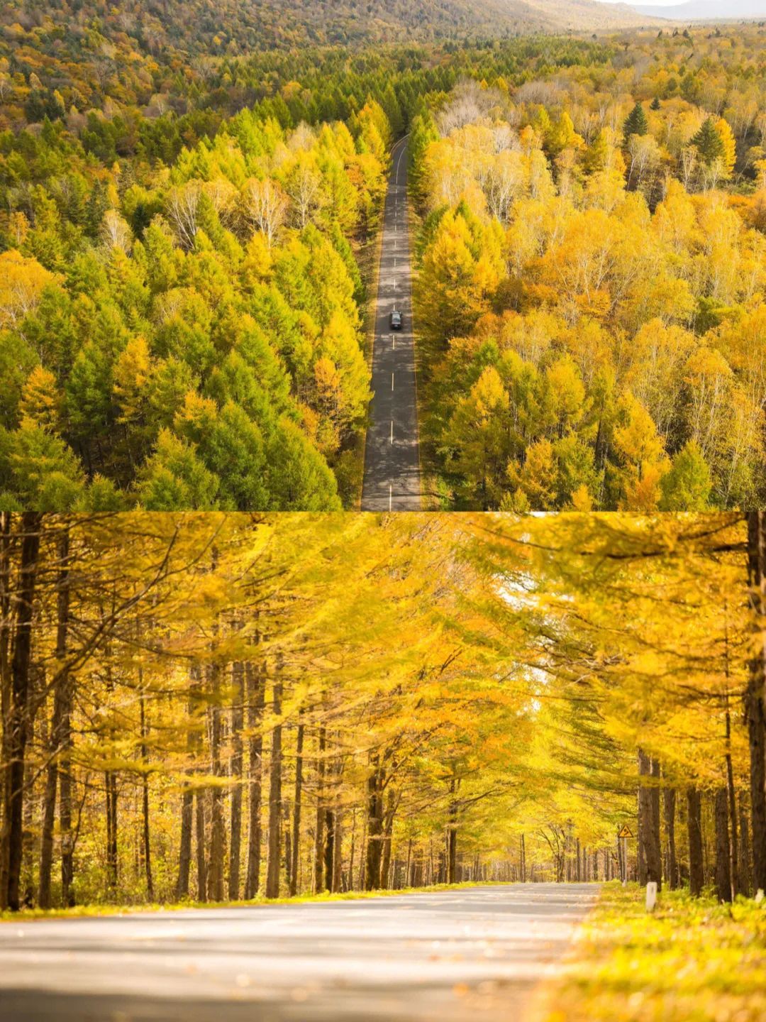 大兴安岭有机富硒大米（吉林富硒大米价格）-硒宝网