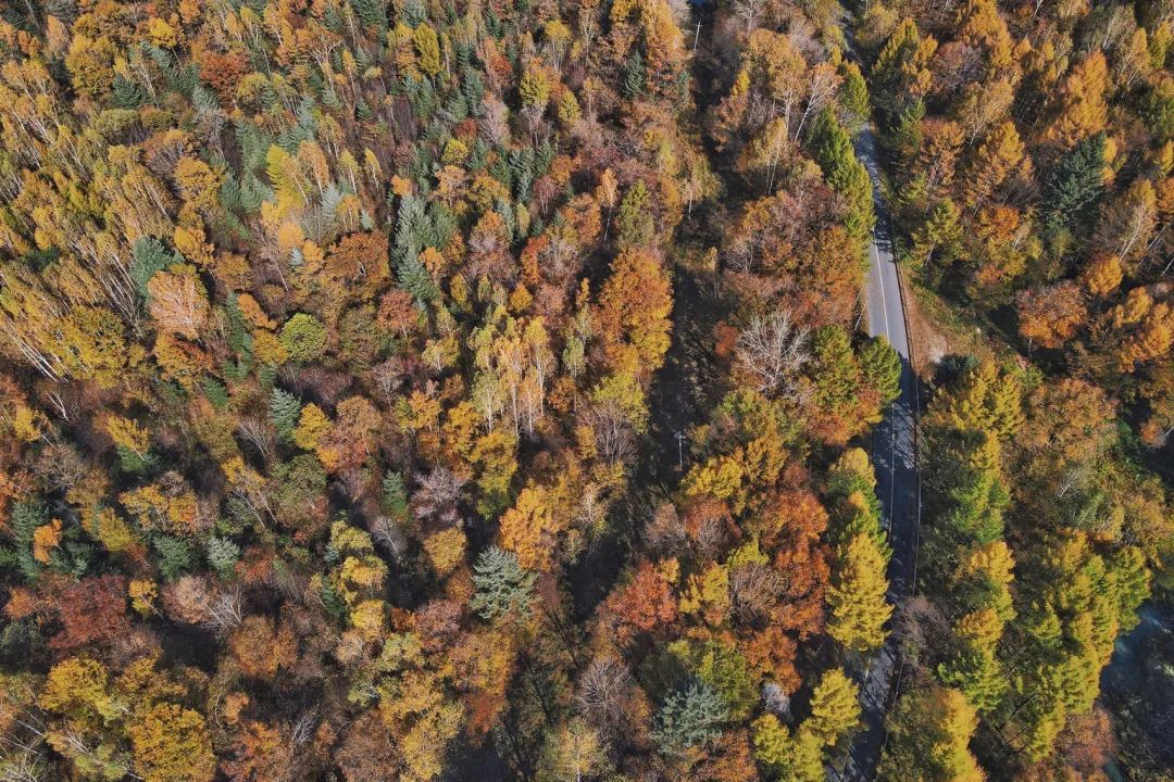 大兴安岭有机富硒大米（吉林富硒大米价格）-硒宝网