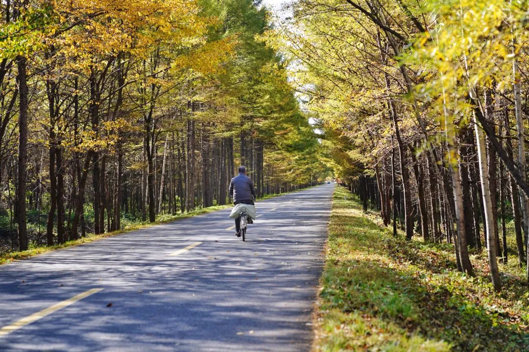 大兴安岭有机富硒大米（吉林富硒大米价格）-硒宝网