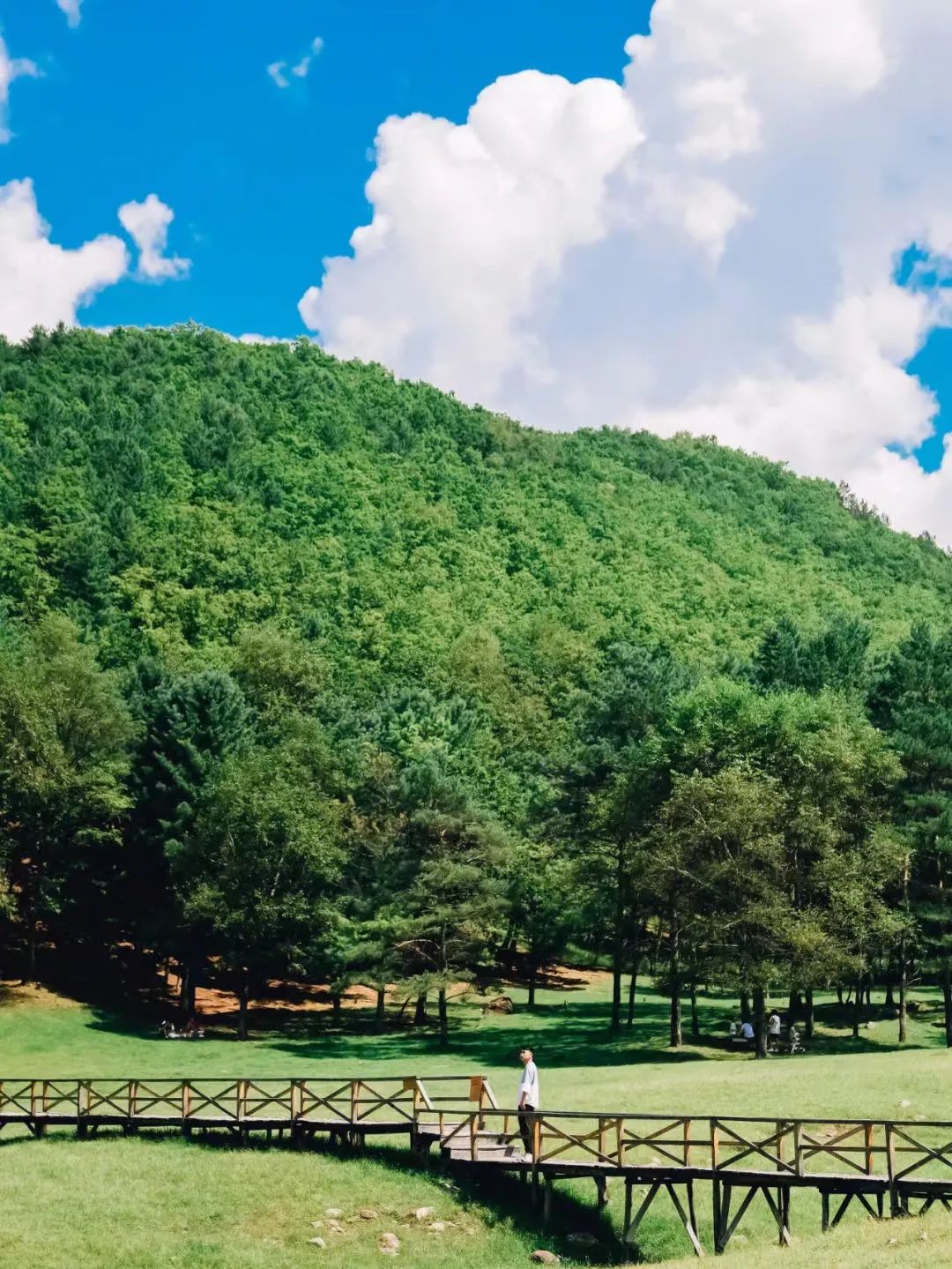 大兴安岭有机富硒大米（吉林富硒大米价格）-硒宝网