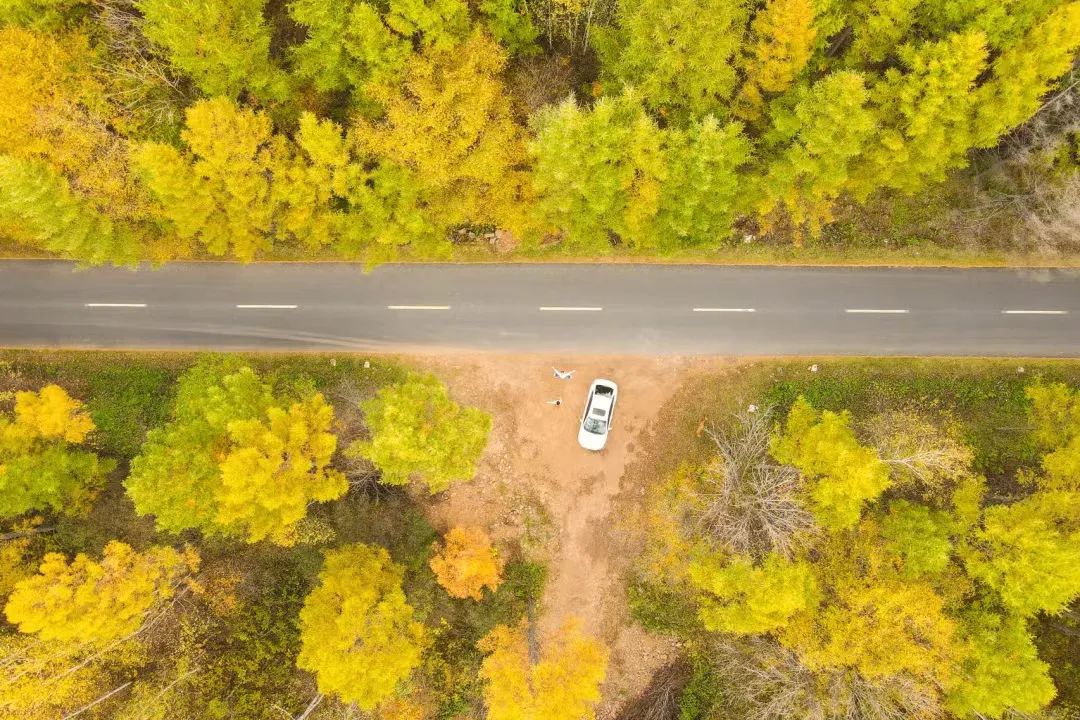 大兴安岭有机富硒大米（吉林富硒大米价格）-硒宝网