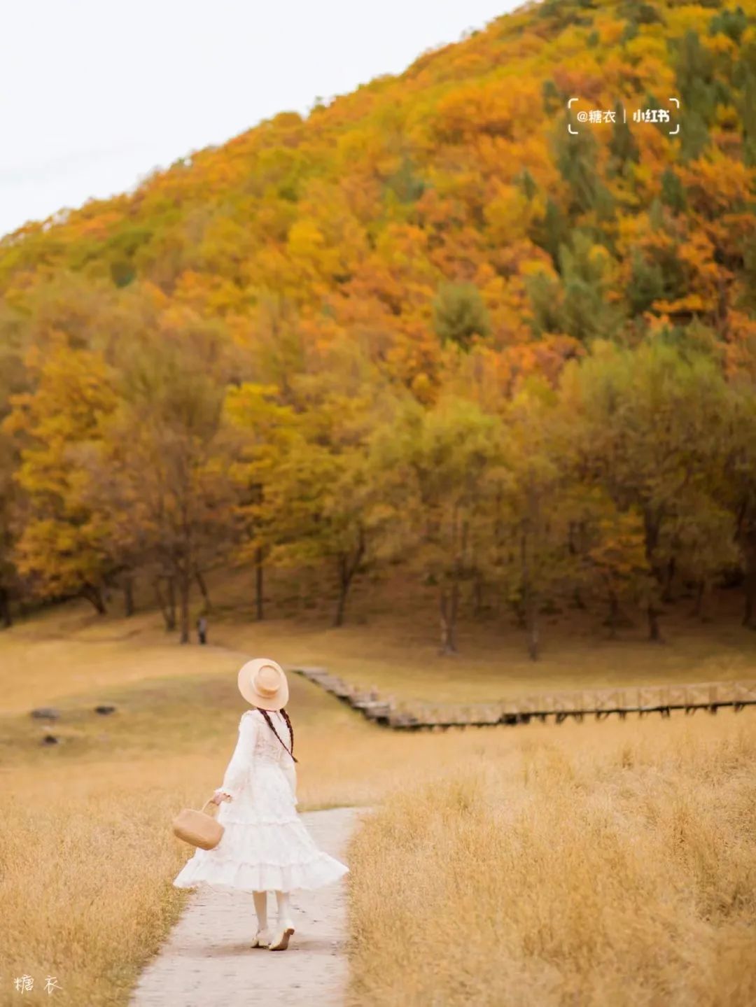 大兴安岭有机富硒大米（吉林富硒大米价格）-硒宝网