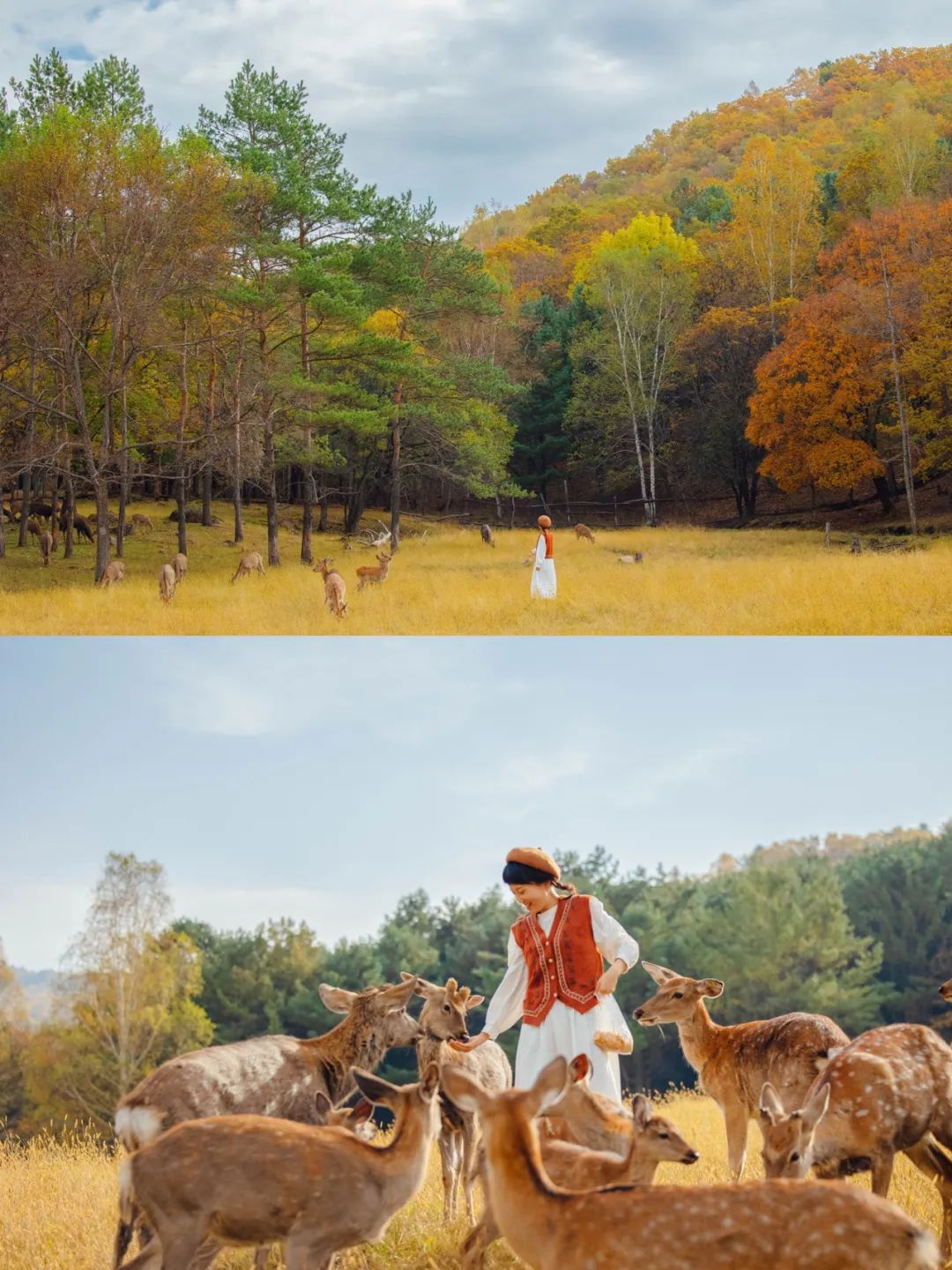 大兴安岭有机富硒大米（吉林富硒大米价格）-硒宝网