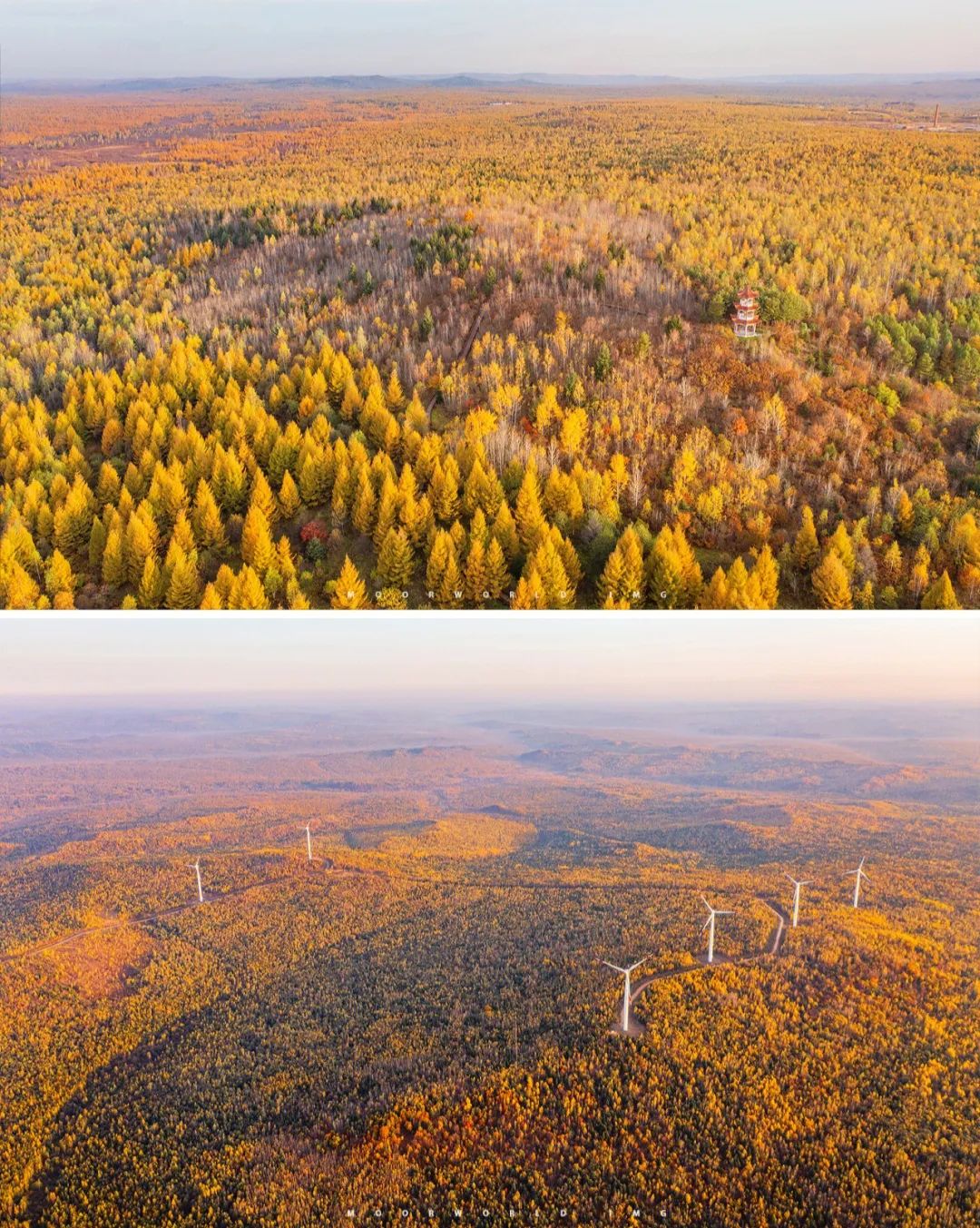 大兴安岭有机富硒大米（吉林富硒大米价格）-硒宝网