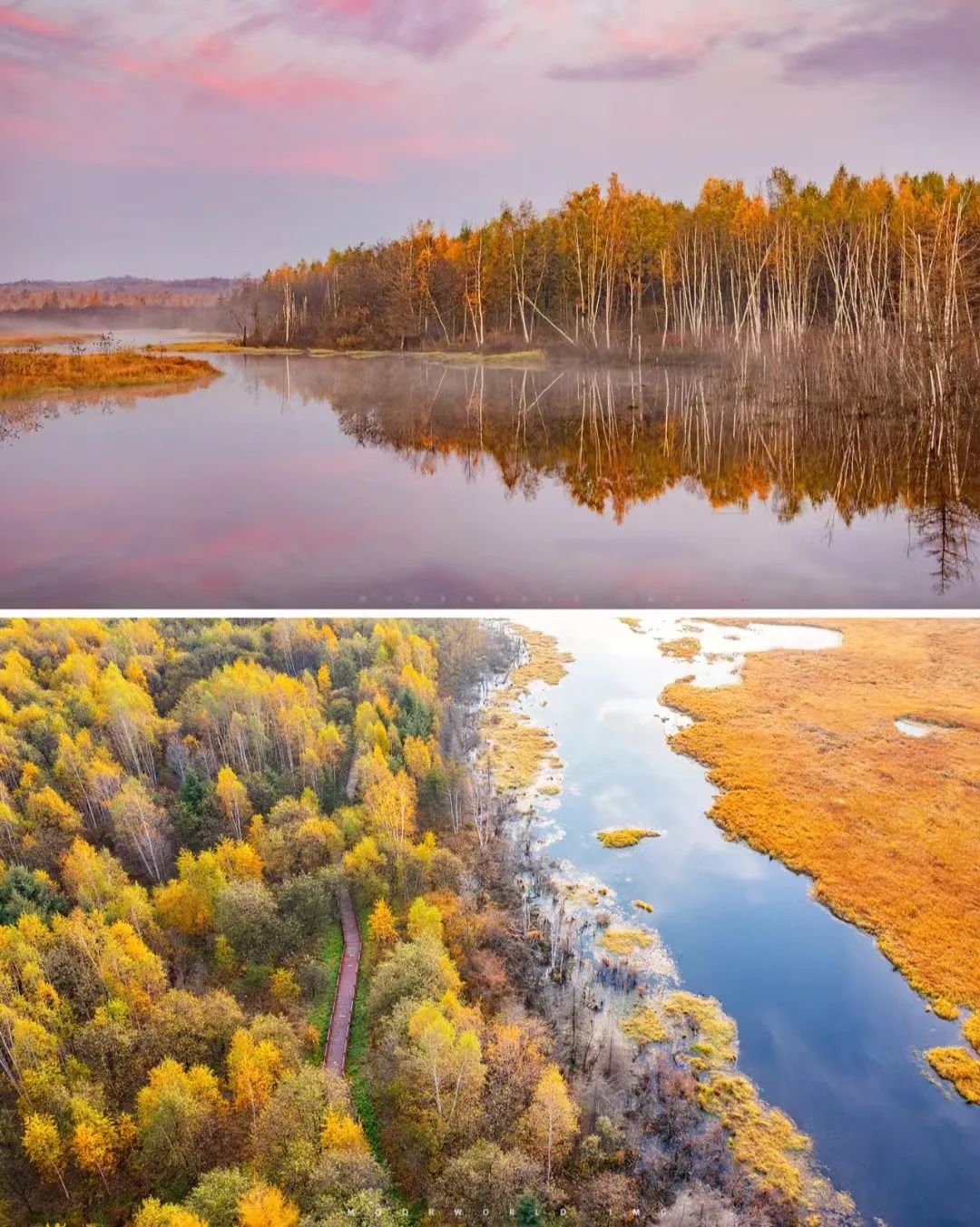 大兴安岭有机富硒大米（吉林富硒大米价格）-硒宝网