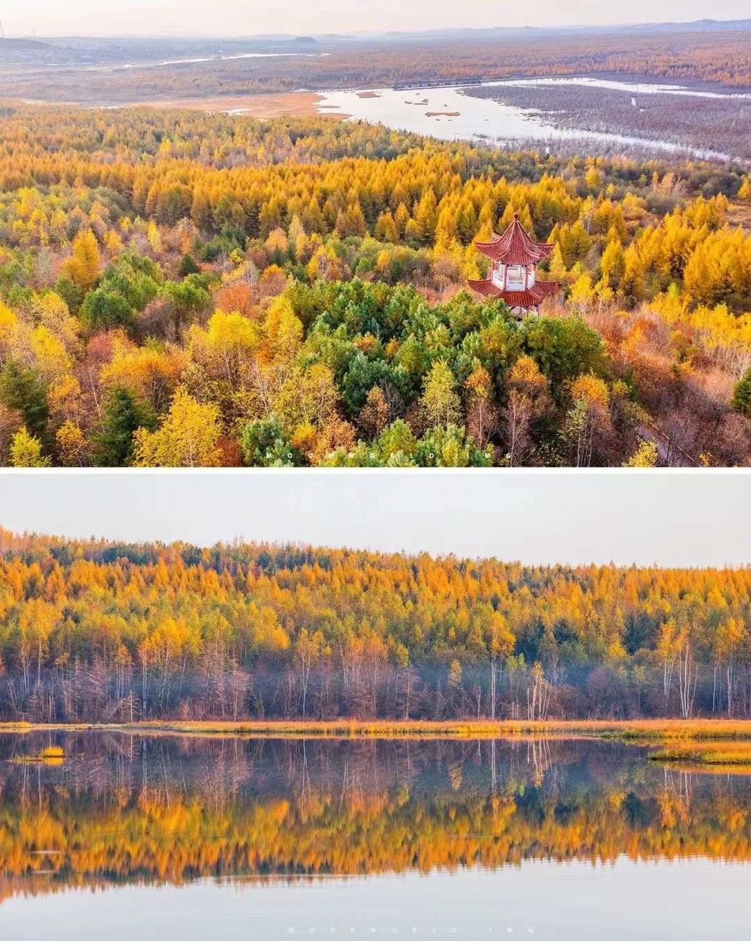 大兴安岭有机富硒大米（吉林富硒大米价格）-硒宝网