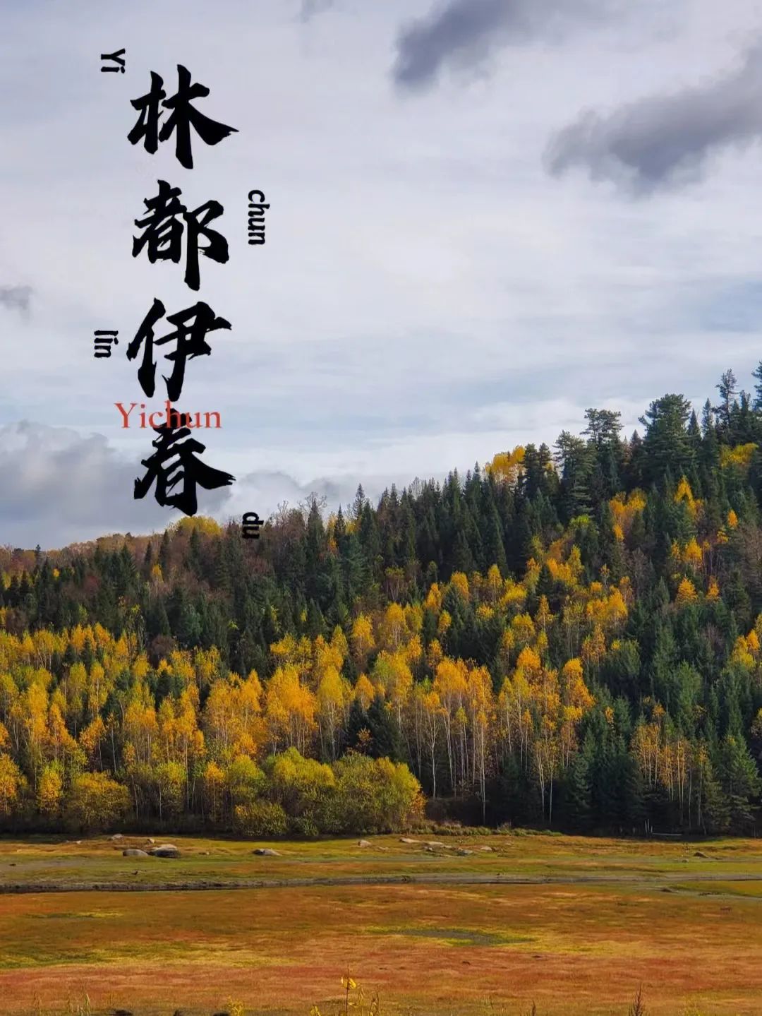 大兴安岭有机富硒大米（吉林富硒大米价格）-硒宝网