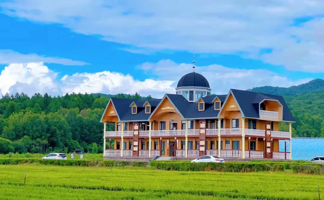 大兴安岭有机富硒大米（吉林富硒大米价格）-硒宝网