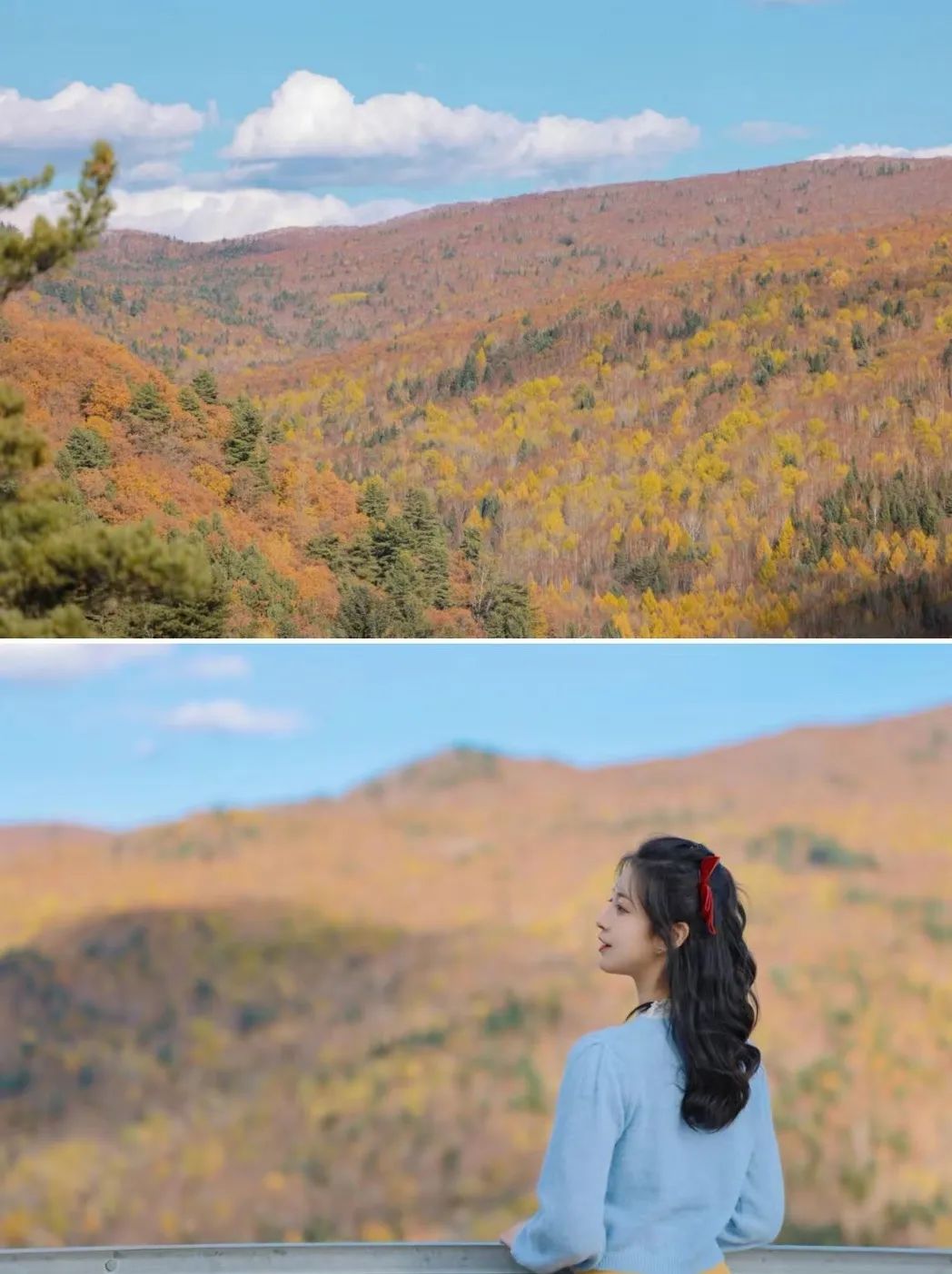 大兴安岭有机富硒大米（吉林富硒大米价格）-硒宝网