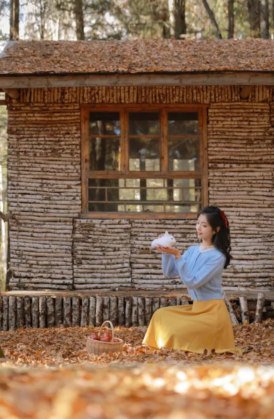 大兴安岭有机富硒大米（吉林富硒大米价格）-硒宝网