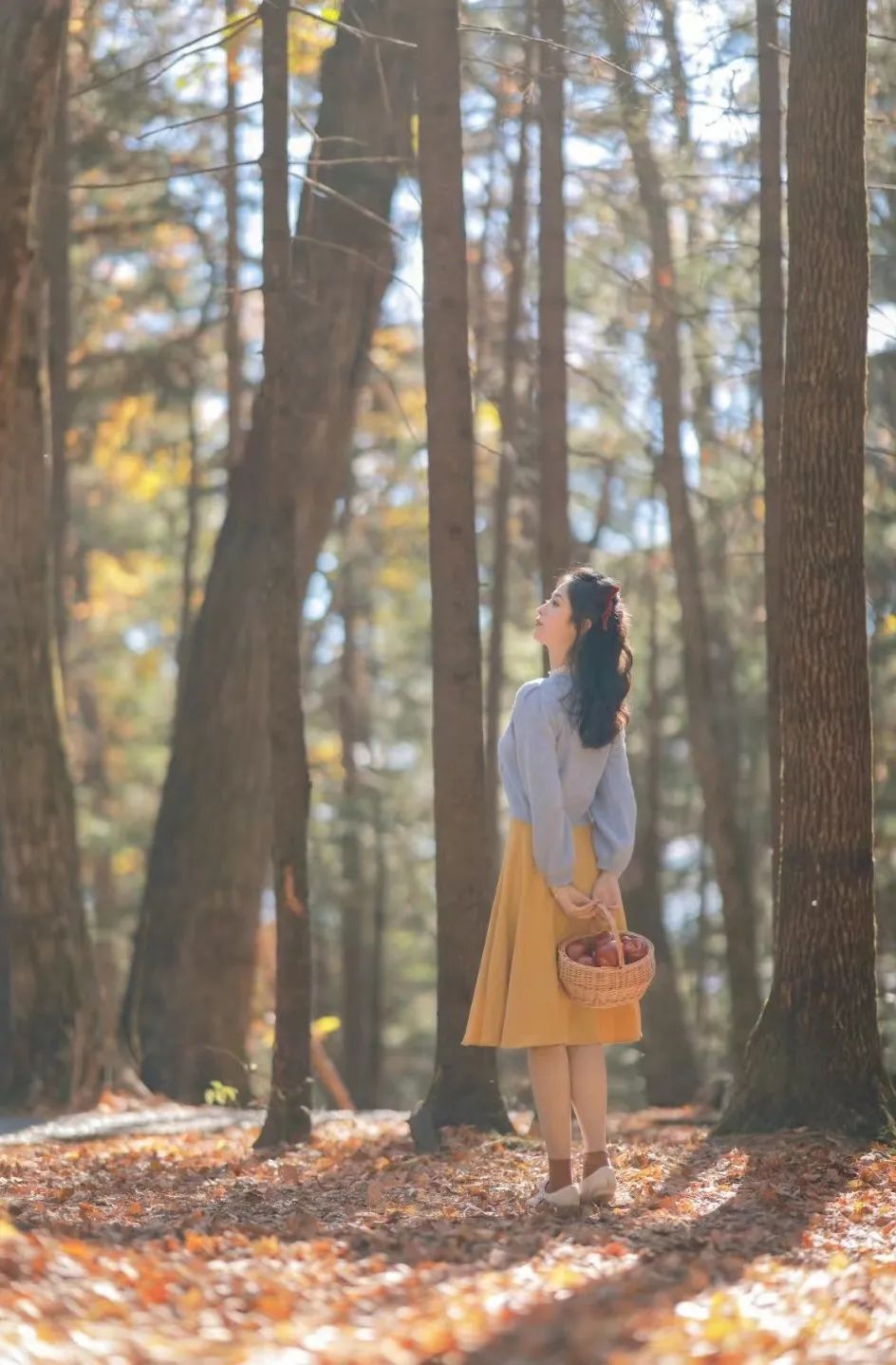 大兴安岭有机富硒大米（吉林富硒大米价格）-硒宝网