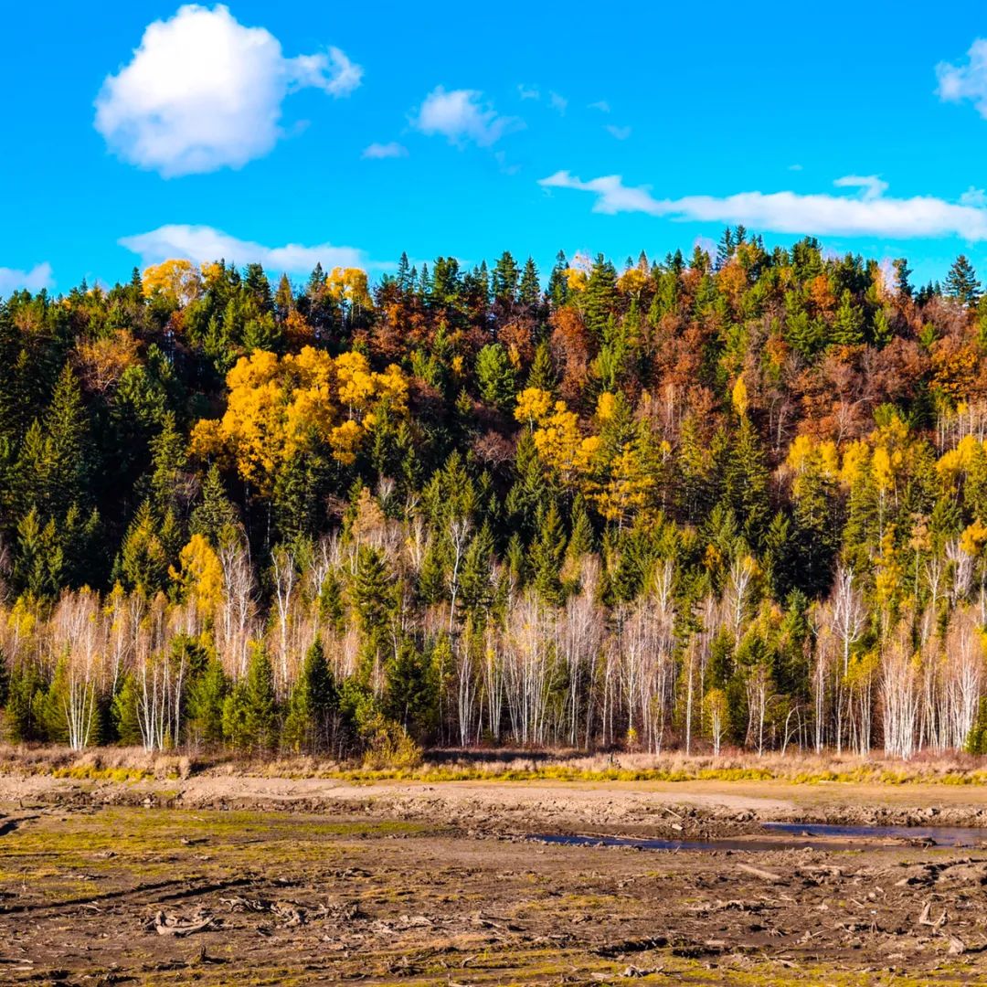 大兴安岭有机富硒大米（吉林富硒大米价格）-硒宝网