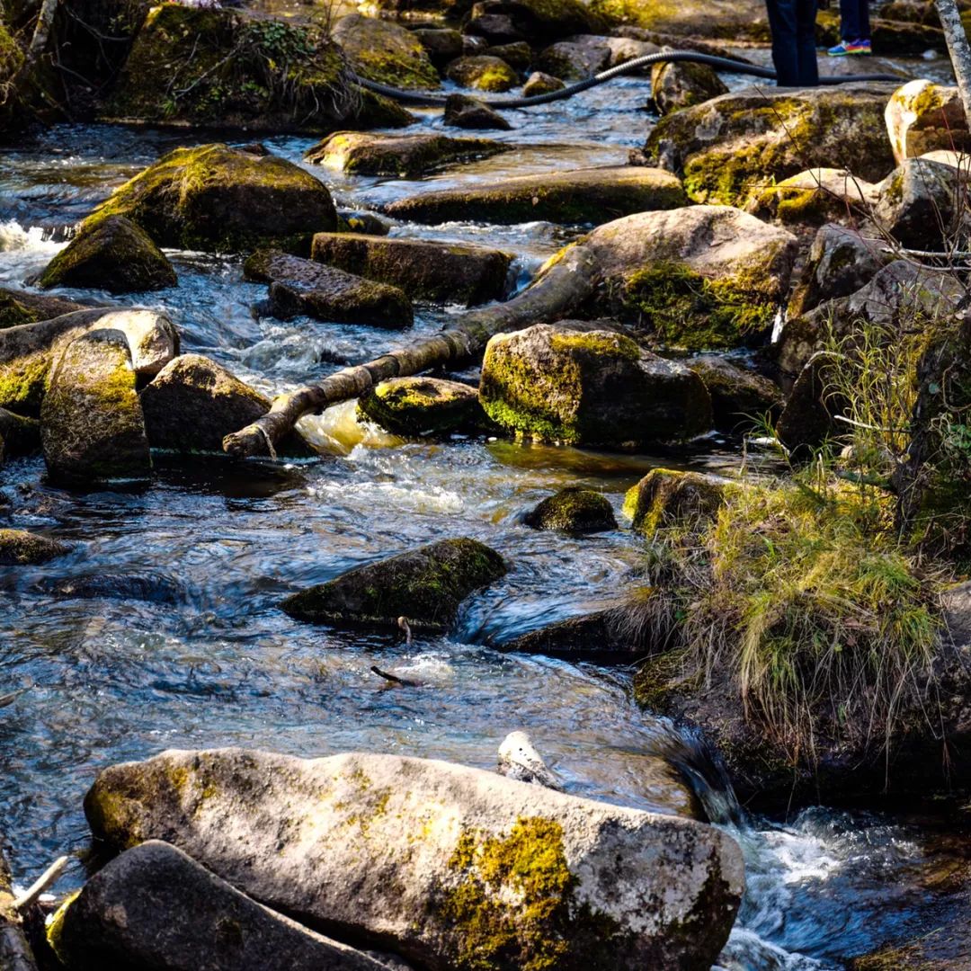 大兴安岭有机富硒大米（吉林富硒大米价格）-硒宝网