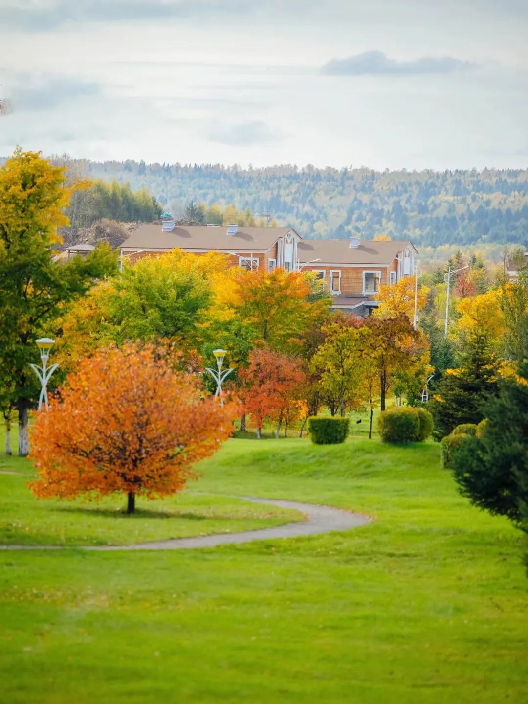 大兴安岭有机富硒大米（吉林富硒大米价格）-硒宝网