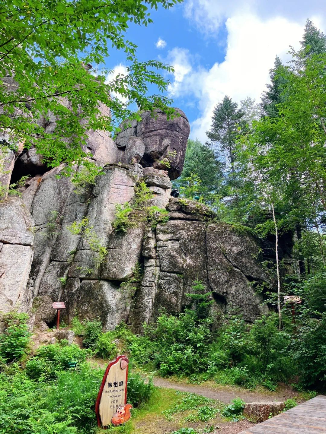 大兴安岭有机富硒大米（吉林富硒大米价格）-硒宝网