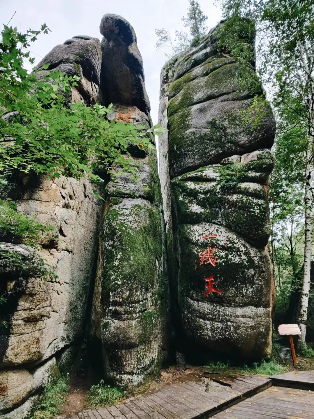 大兴安岭有机富硒大米（吉林富硒大米价格）-硒宝网