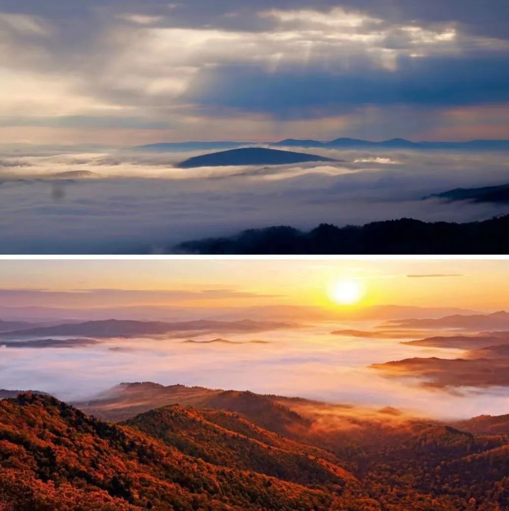 大兴安岭有机富硒大米（吉林富硒大米价格）-硒宝网