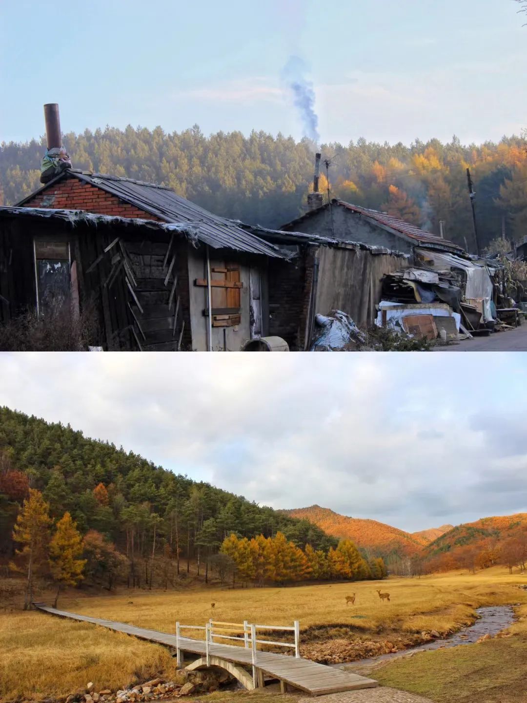 大兴安岭有机富硒大米（吉林富硒大米价格）-硒宝网