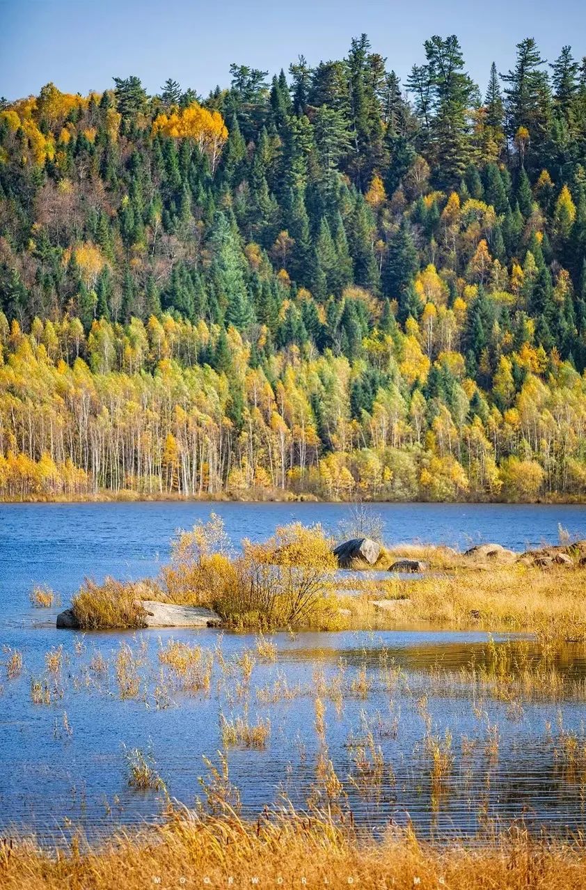 大兴安岭有机富硒大米（吉林富硒大米价格）-硒宝网