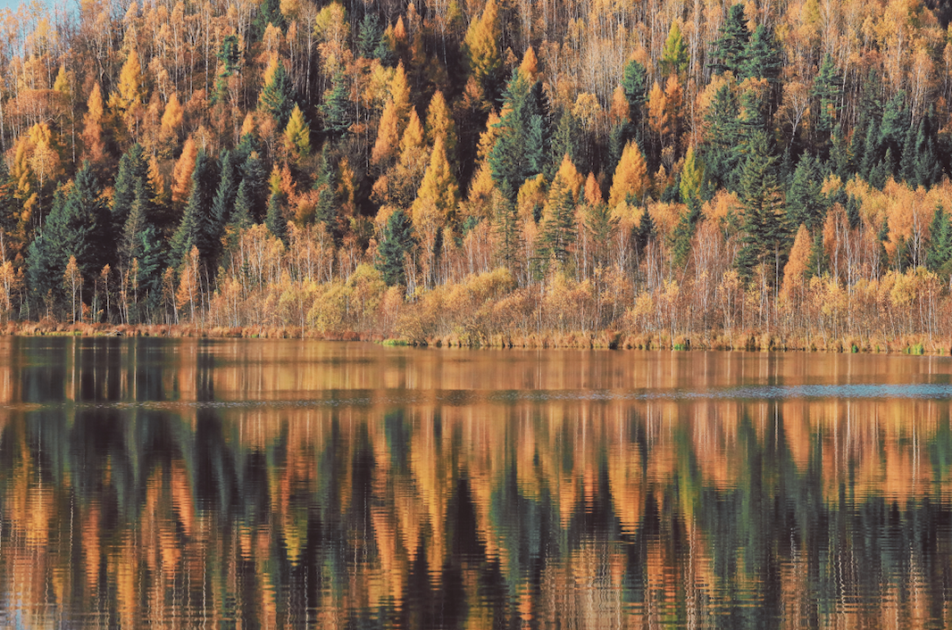 大兴安岭有机富硒大米（吉林富硒大米价格）-硒宝网