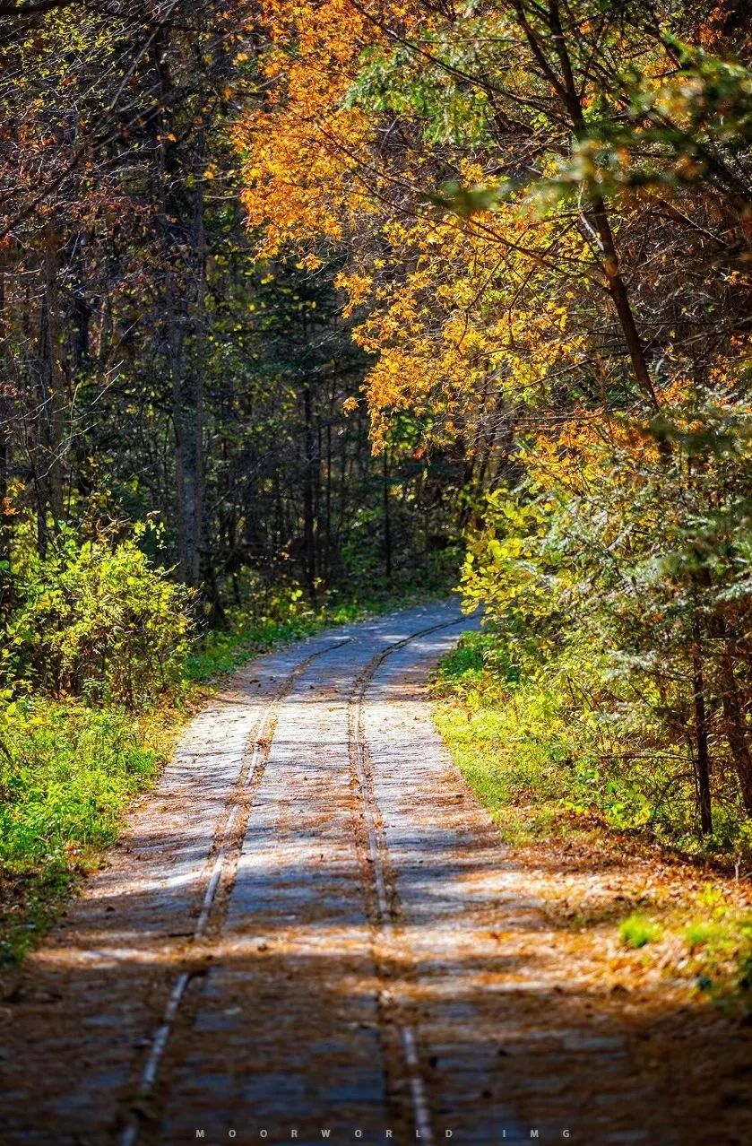 大兴安岭有机富硒大米（吉林富硒大米价格）-硒宝网