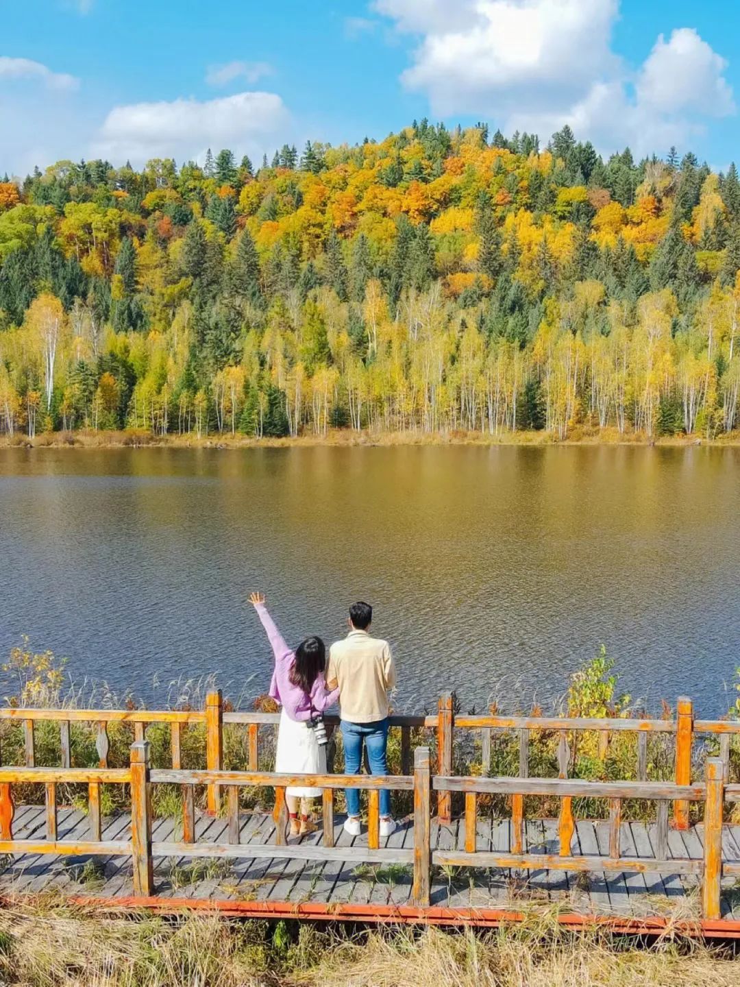 大兴安岭有机富硒大米（吉林富硒大米价格）-硒宝网