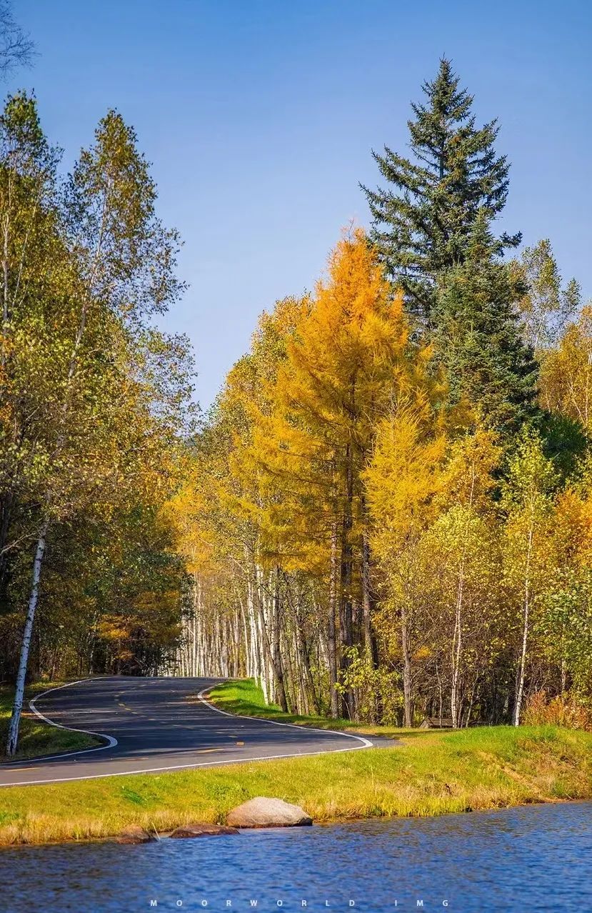 大兴安岭有机富硒大米（吉林富硒大米价格）-硒宝网
