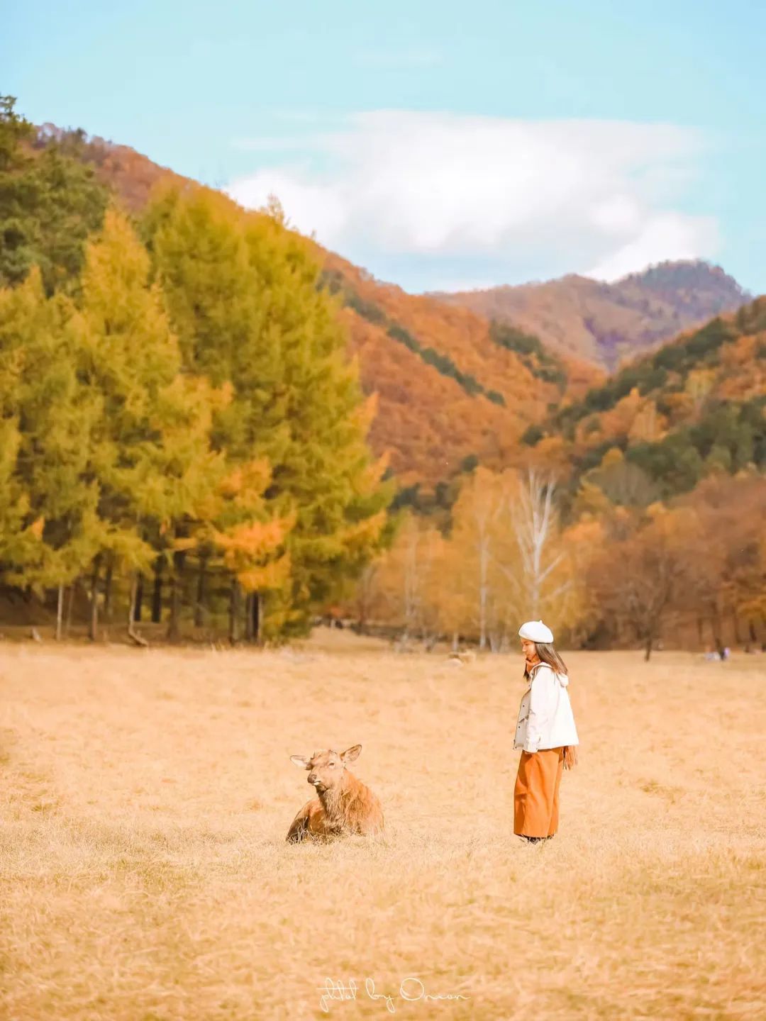 大兴安岭有机富硒大米（吉林富硒大米价格）-硒宝网