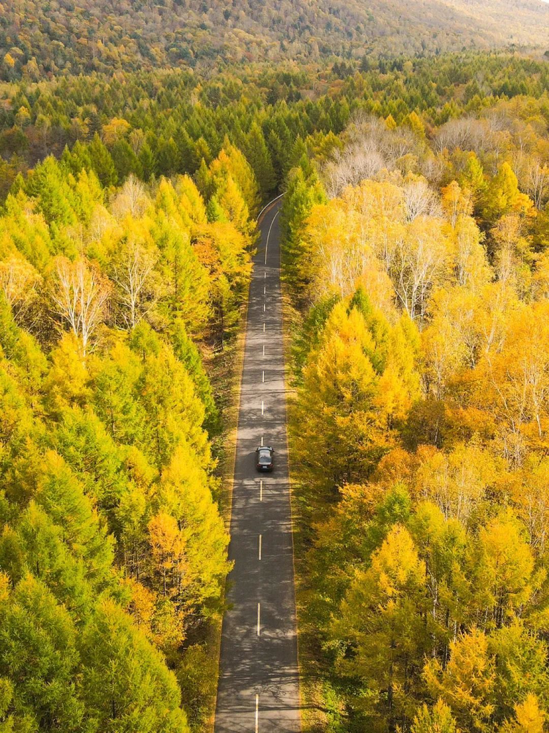 大兴安岭有机富硒大米（吉林富硒大米价格）-硒宝网