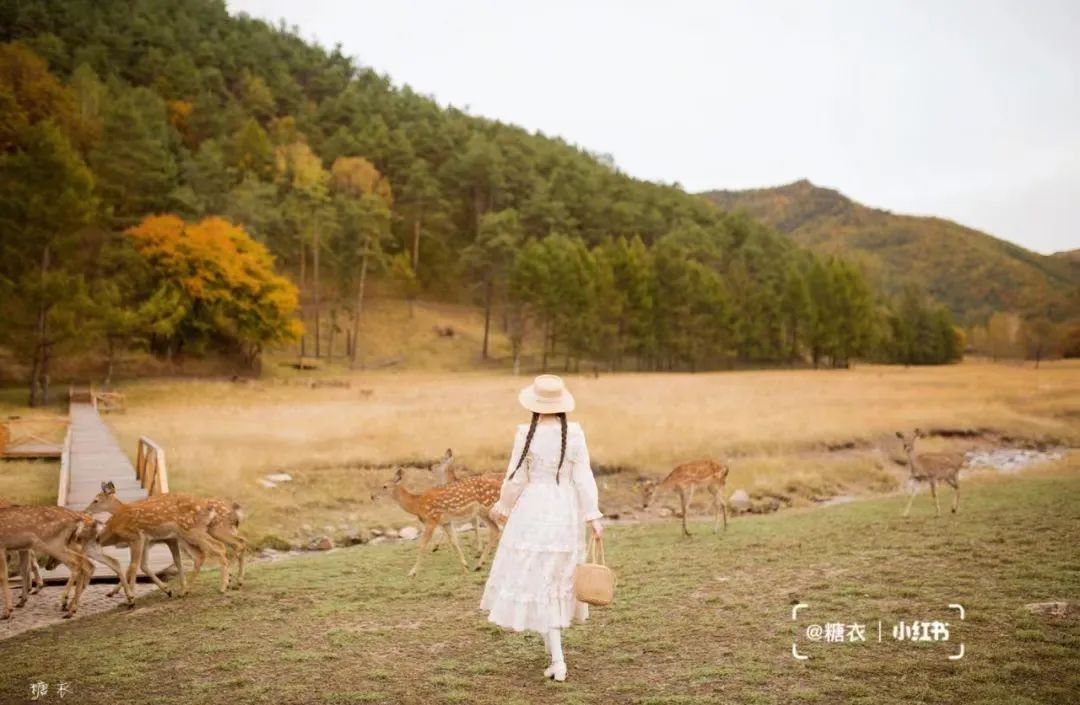 大兴安岭有机富硒大米（吉林富硒大米价格）-硒宝网