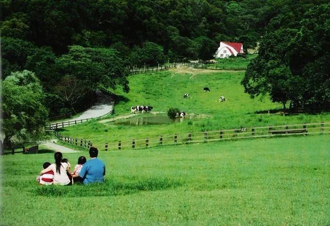 五彩富硒大米价格多少(富硒优质大米)-硒宝网