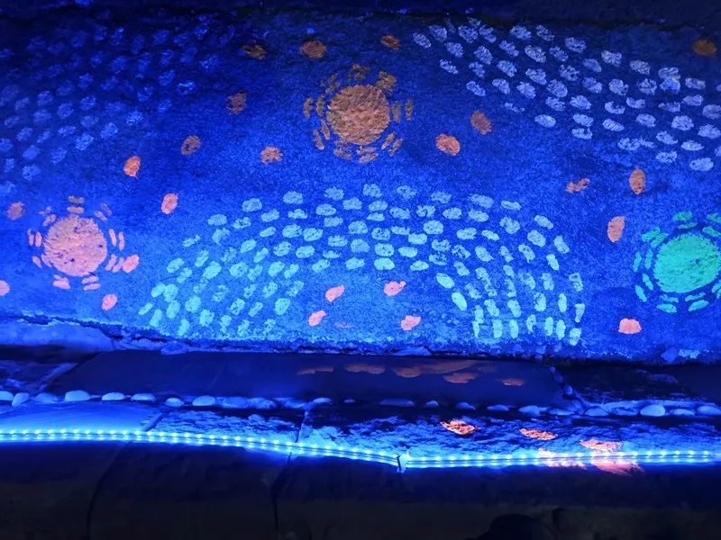 五彩富硒大米价格多少(富硒优质大米)-硒宝网