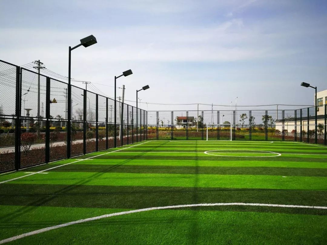 五彩富硒大米价格多少(富硒优质大米)-硒宝网