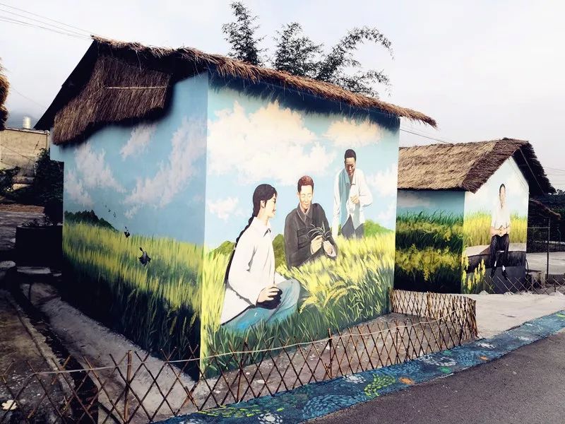 五彩富硒大米价格多少(富硒优质大米)-硒宝网