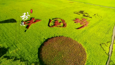 黑龙江富硒大米主产区（黑龙江富硒大米产地）-硒宝网