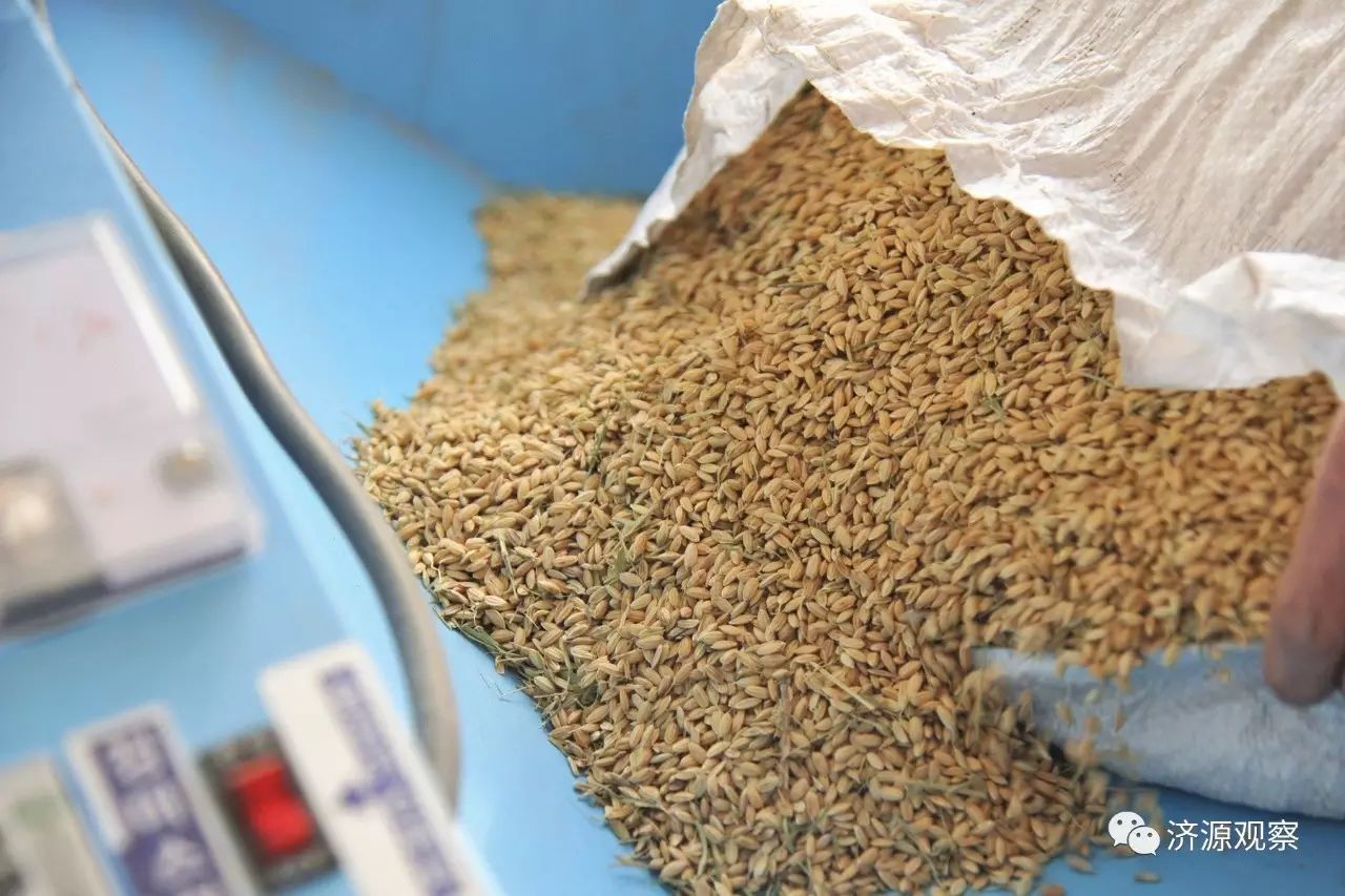 富硒大米能治糖尿病么（大米治疗糖尿?。?硒宝网