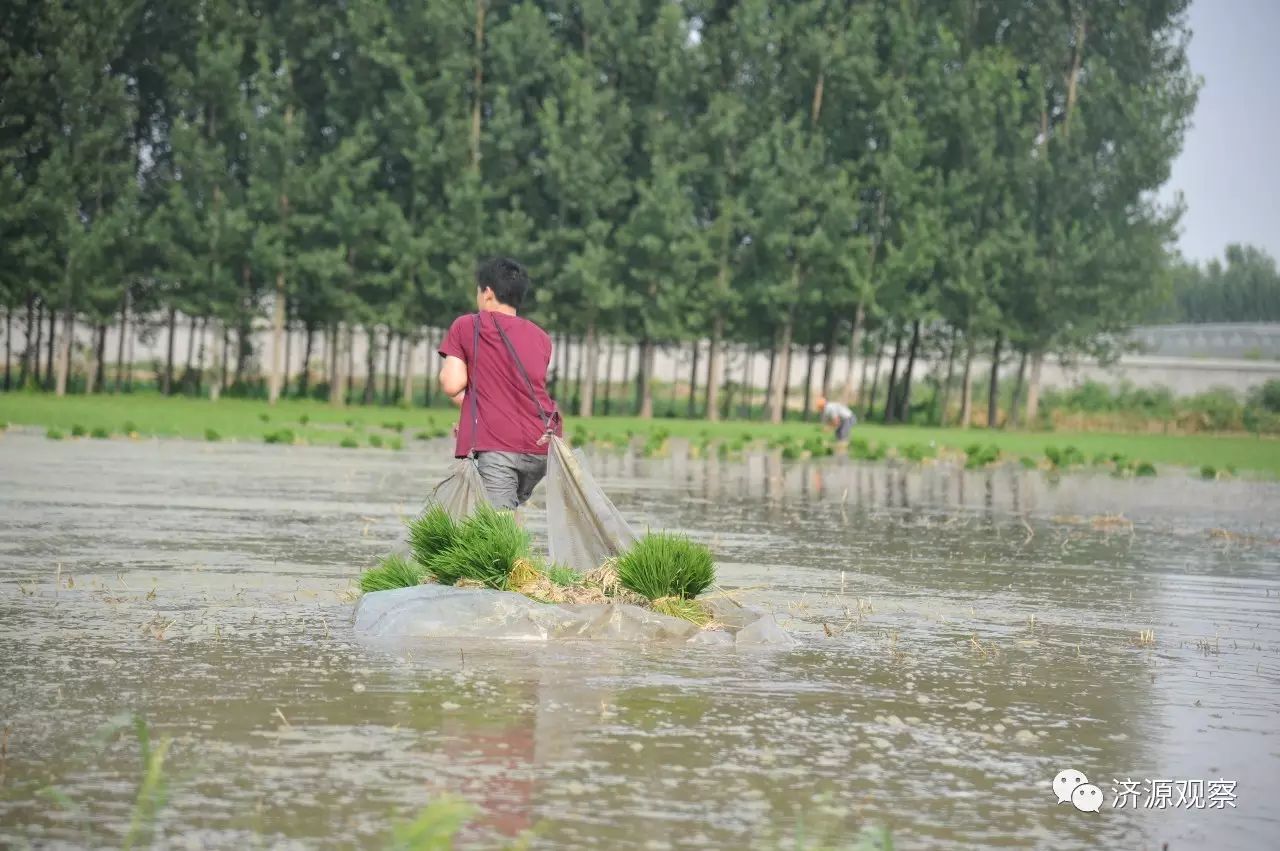 富硒大米能治糖尿病么（大米治疗糖尿?。?硒宝网