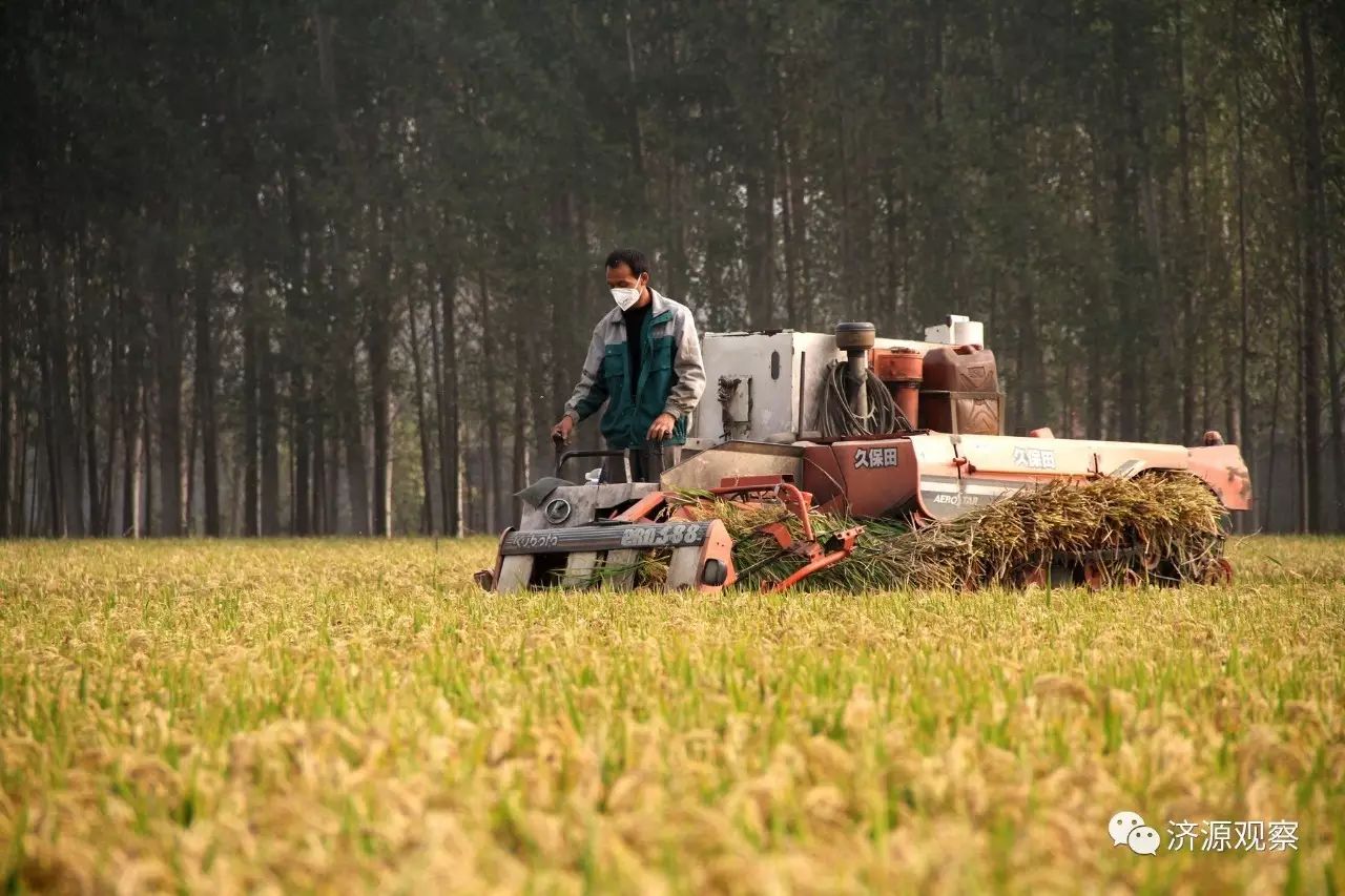 富硒大米能治糖尿病么（大米治疗糖尿?。?硒宝网