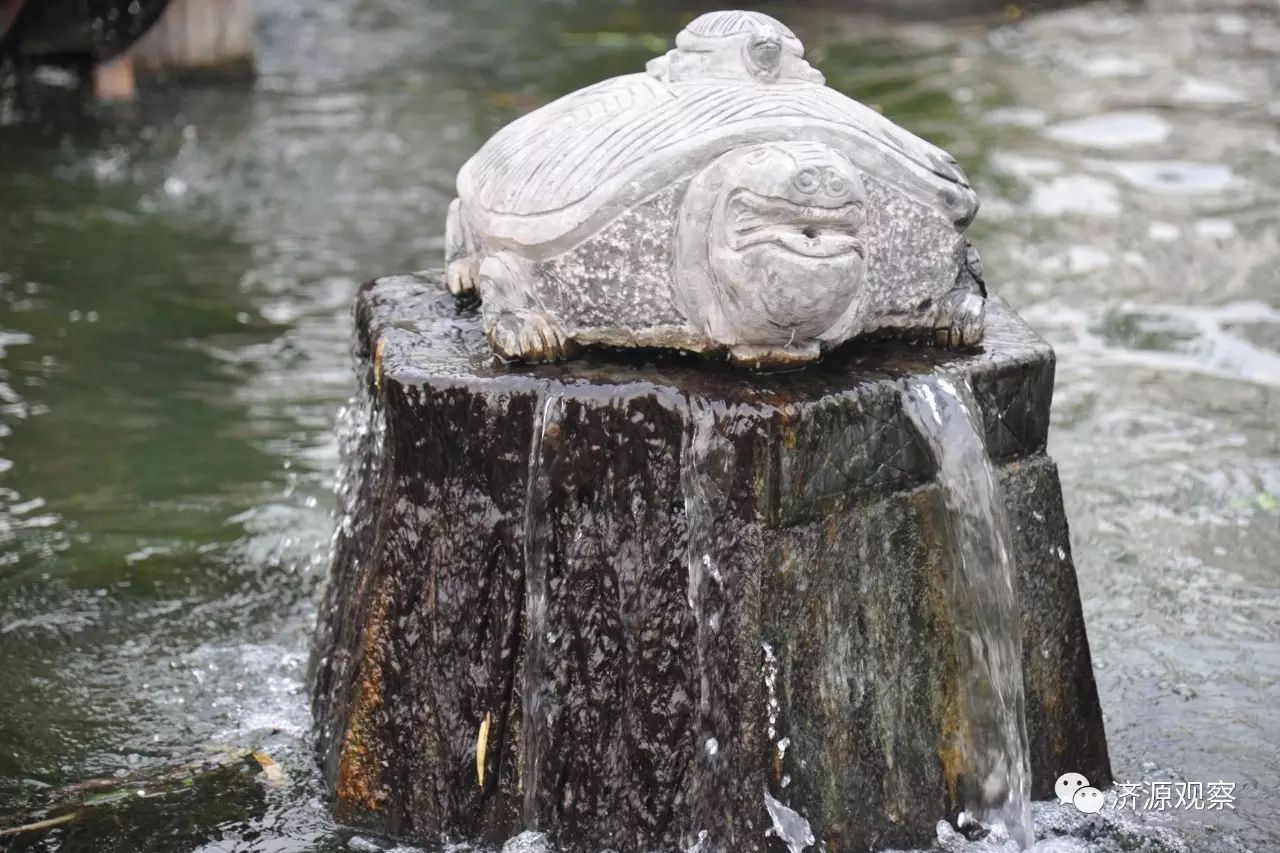 富硒大米能治糖尿病么（大米治疗糖尿?。?硒宝网