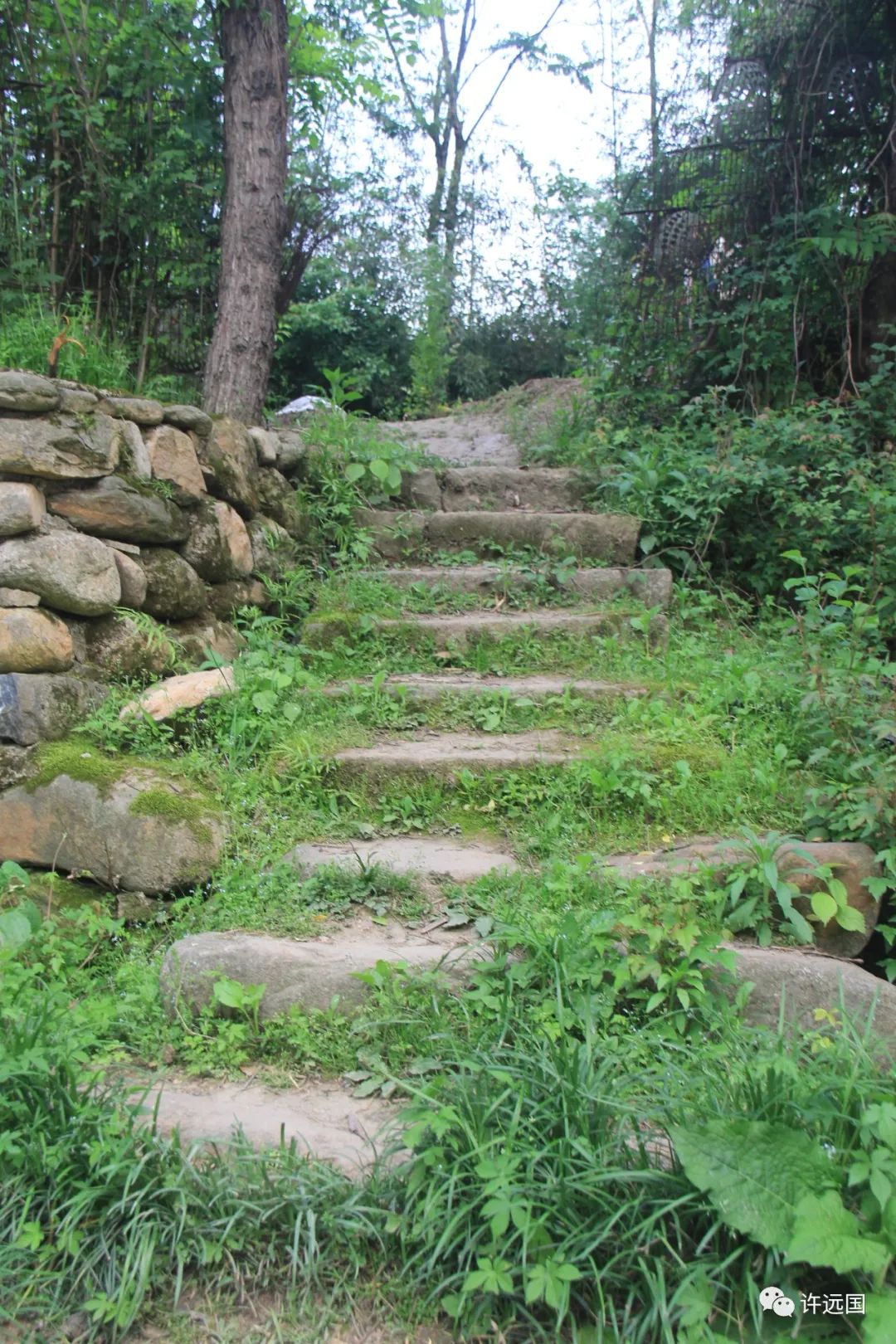 什么人不适合富硒大米（大米适合富硒人群吃吗）-硒宝网