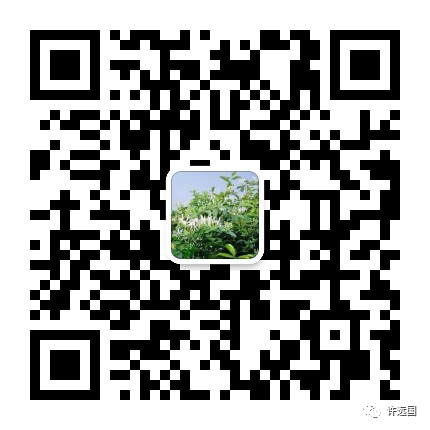 什么人不适合富硒大米（大米适合富硒人群吃吗）-硒宝网