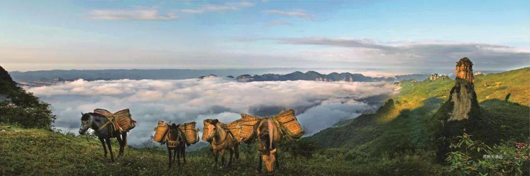 湖北省恩施州富硒大米（湖北恩施富硒红米）-硒宝网