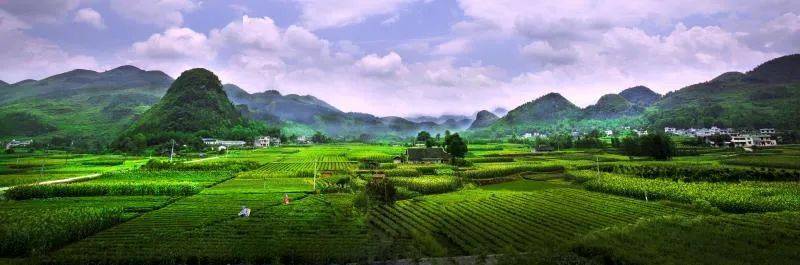 湖北省恩施州富硒大米（湖北恩施富硒红米）-硒宝网