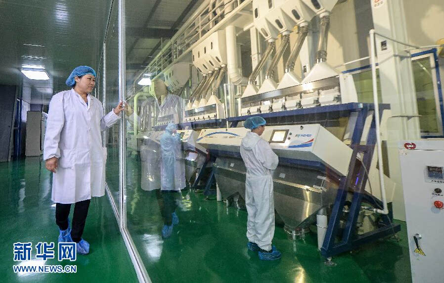 吉林火山岩富硒大米姐（吉林柳河火山岩大米）-硒宝网