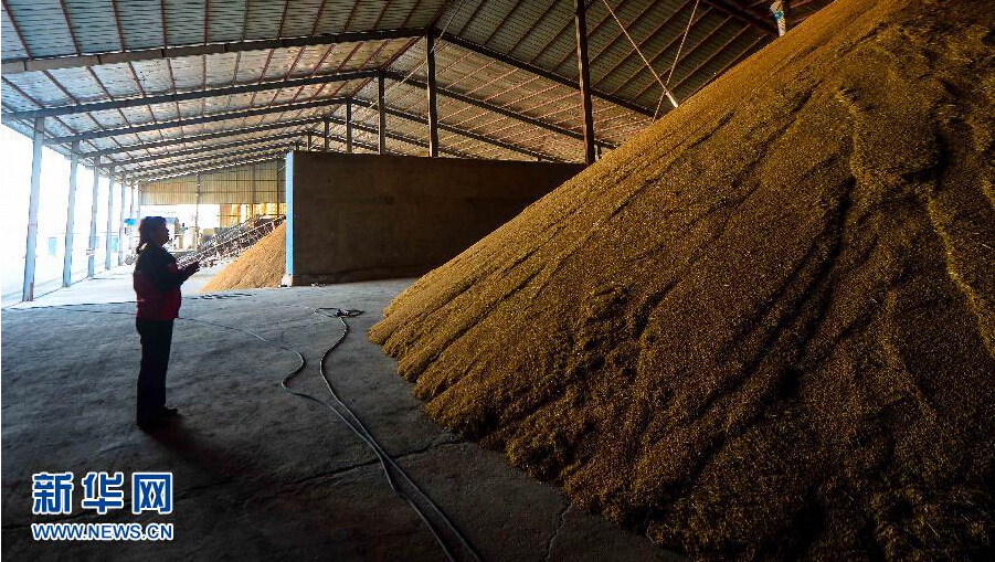 吉林火山岩富硒大米姐（吉林柳河火山岩大米）-硒宝网