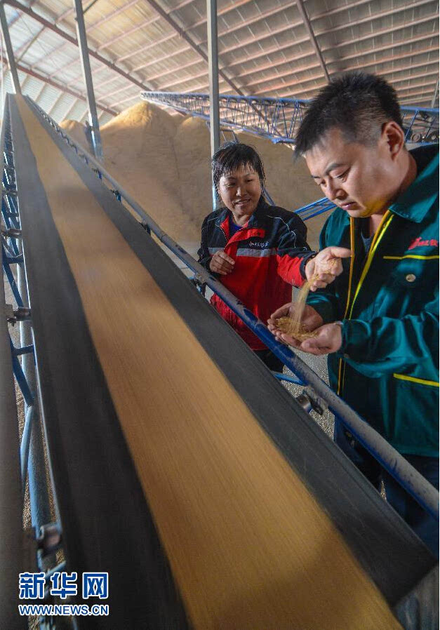 吉林火山岩富硒大米姐（吉林柳河火山岩大米）-硒宝网