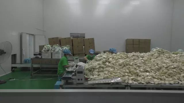 黑龙江海伦富硒大米节(黑龙江海伦大米价格表)-硒宝网