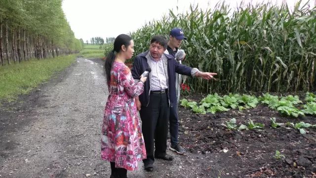 黑龙江海伦富硒大米节(黑龙江海伦大米价格表)-硒宝网