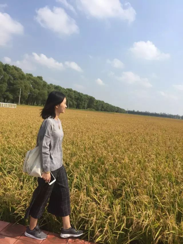 黑龙江海伦富硒大米节(黑龙江海伦大米价格表)-硒宝网